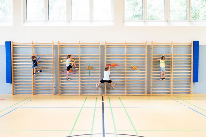 Produktbild Spordas Reifenhalter für Sprossenwände WalliBari