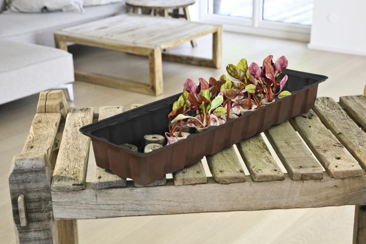 Produktbild Windhager Fensterbank-Treibhaus