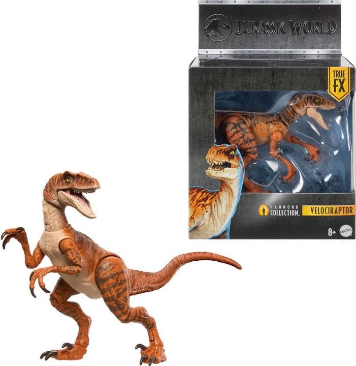 Actual product image Jurassic World Hammond Collection Pack Dino #4 - Velociraptor Tiger