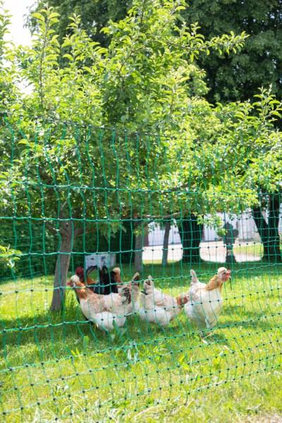 Image du produit Kerbl PoultryNet