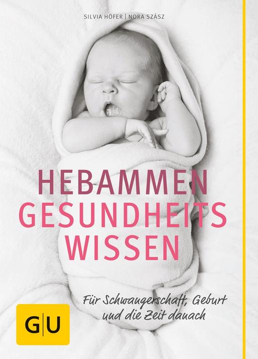 Produktbild Hebammen-Gesundheitswissen (Deutsch, Silvia Höfer, 2012)