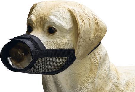 Produktbild Beeztees Maulkorb (XL, Hund, Hundesport)