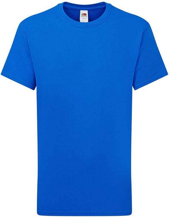 Fruit of the Loom Iconic 195 Premium TShirt