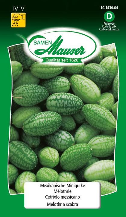 Actual product image Samen Mauser Mexican Minigouche (Vegetable seeds)