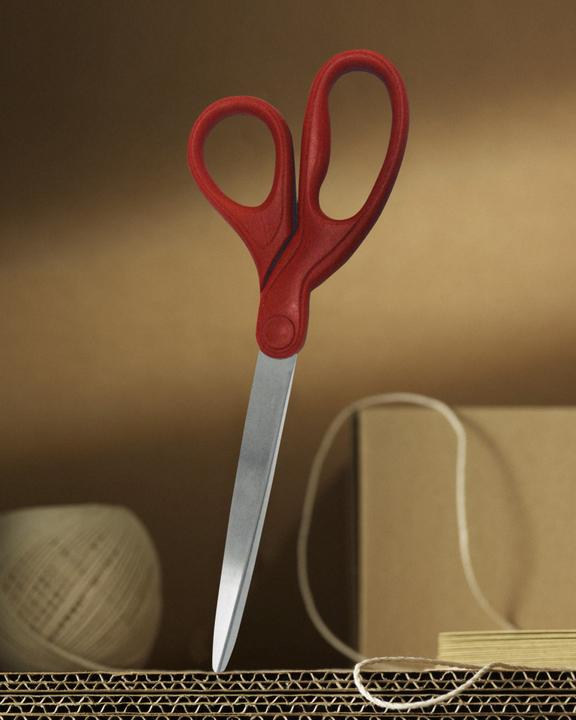 Actual product image Scotch Universal (18 cm)