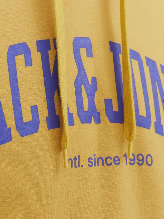 Immagine prodotto Jack & Jones Hoodie (M)
