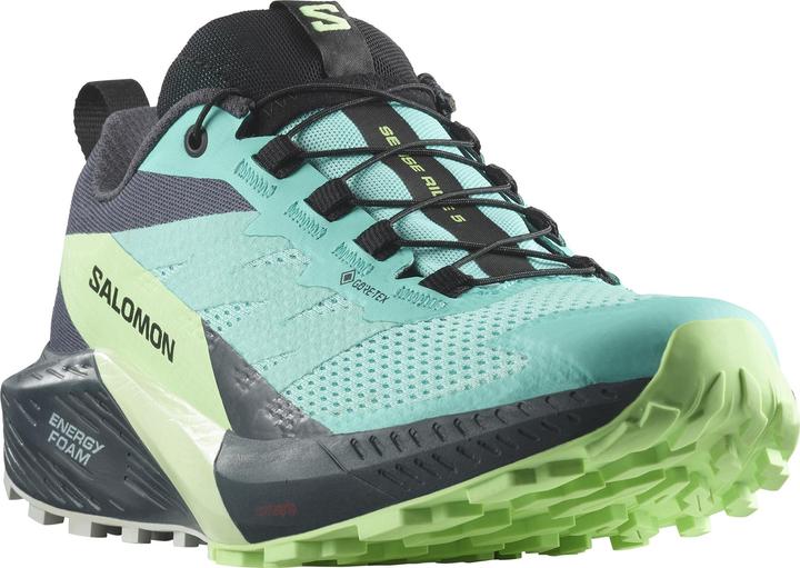 Produktbild Salomon Sense Ride 5 GTX W 472160 39 1/3 (39.5)