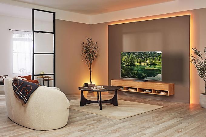 Immagine prodotto Samsung GQ65S95BAT (65", S95B, OLED, 4K, 2022)