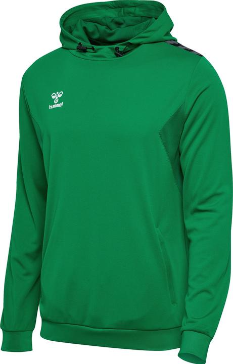 Actual product image hummel Hmlauthentic Pl Hoodie (L)