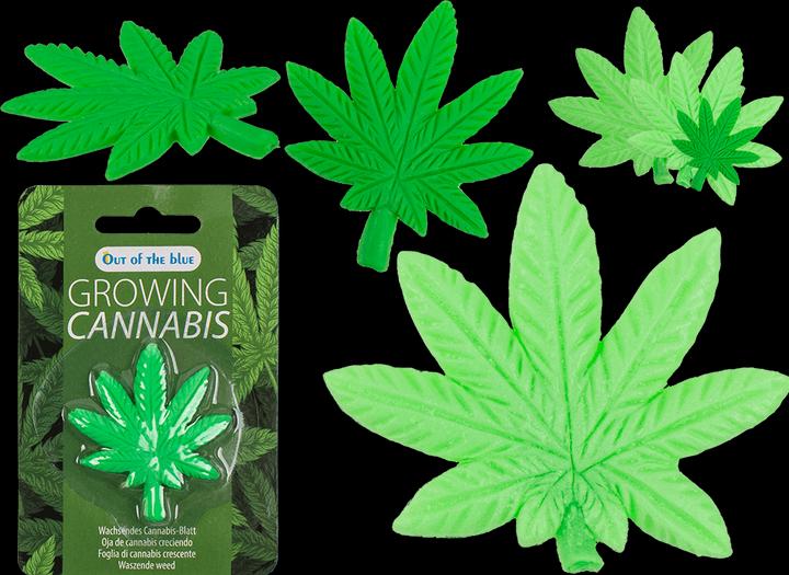 Image du produit Out of the blue Feuille de cannabis en croissance
