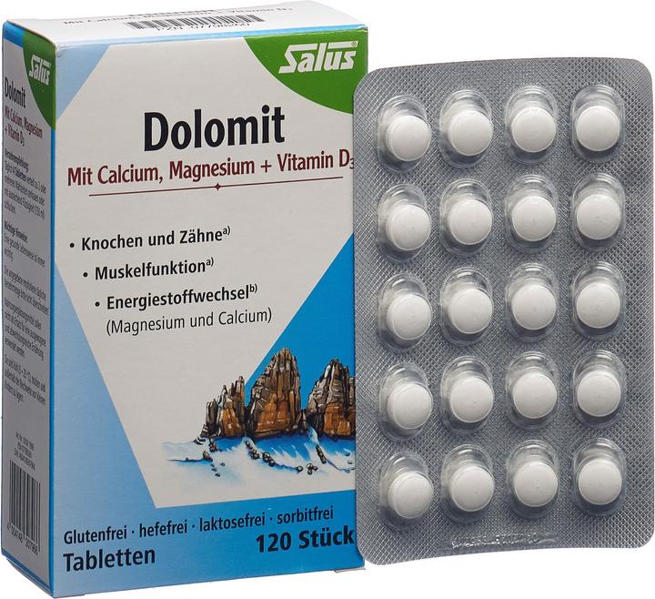 Actual product image Salus Dolomite Magnesium Calcium Vitamin D3 Tabl (120 Piece, Pills, 113 g)