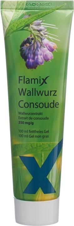 Actual product image Axapharm Comfrey gel (1 x, 100 ml, 123 g)
