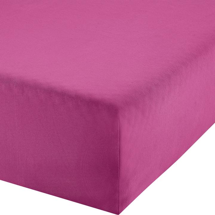 Fuchsia