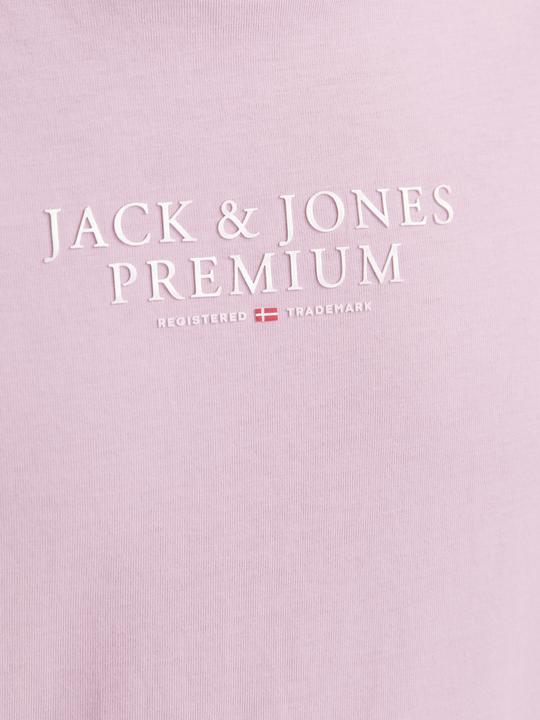 Image du produit Jack & Jones Jprbluarchie Ss Tee Crew Neck Noos (L)