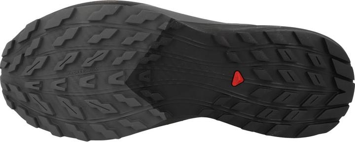 Actual product image Salomon Sense Ride 5 GTX - 59657 (47 1/3)