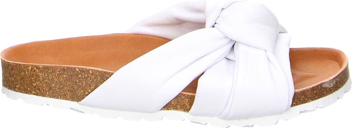 Actual product image Verbenas Rainbow Blanco (38)