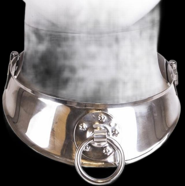 Actual product image Metal Hard Metalhard Restricted Slave Collar