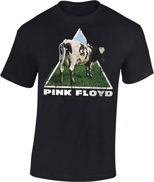 Immagine prodotto Pink Floyd Atom Heart (XXL)