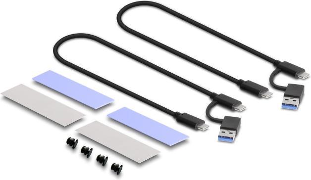Actual product image Delock Combo (M.2)
