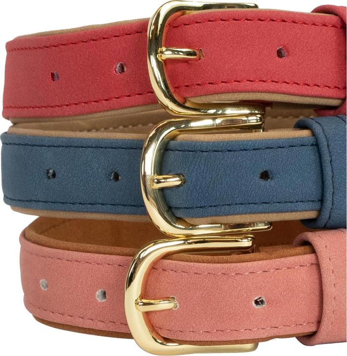 Produktbild Kentucky Dogwear Hunde Halsband Soft Vegan Leather (XS, Hund, Allgemein)