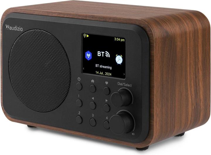 Produktbild Audizio Vicenza (Internetradio, DAB+, FM, Bluetooth, WLAN)