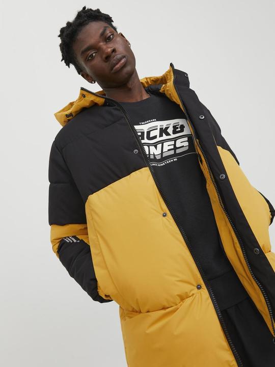 Image du produit Jack & Jones Force (M)