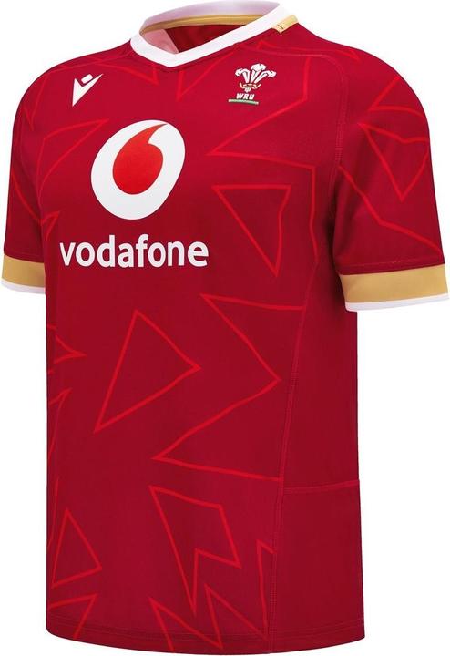Macron Heimtrikot Pays de Galles 2024/25
