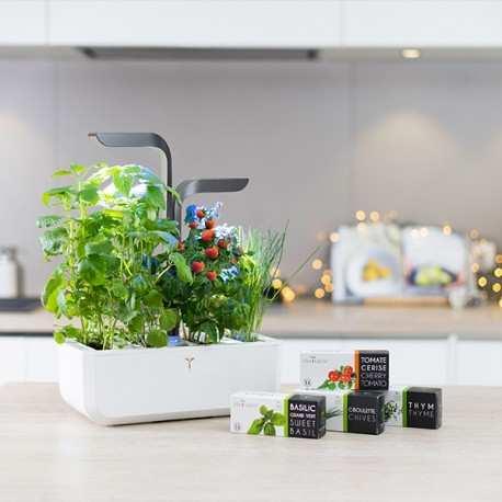 Actual product image Véritable VERITABLE CONNECT Indoor Garden gold incl 4 Packs (18.50 cm)
