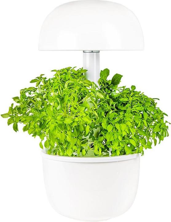 Actual product image Plantui Smart Garden 3e (Seedlings)