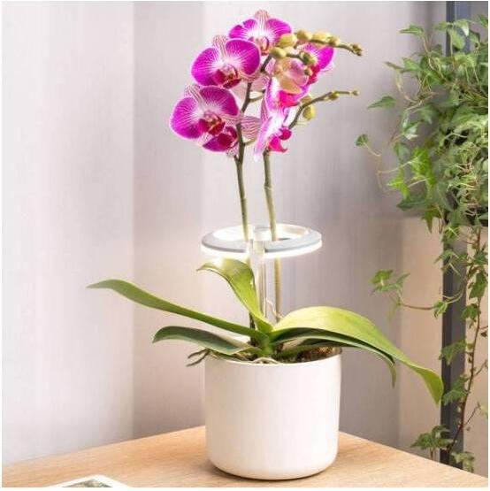 Produktbild Bioponis Zusatztlampe für Zimmerpflanzen und Orchideen