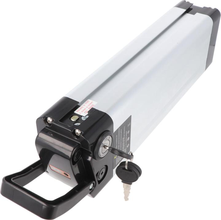 Actual product image AccuCell Phylion XH370-10J e-bike battery 36/37V 12Ah 432Wh Silver Fish (481 Wh, E-Bike battery)
