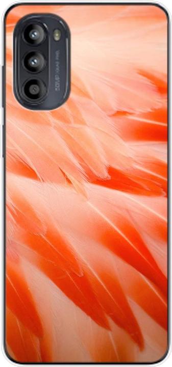 Flamingo Federn