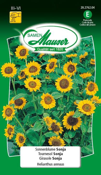 Actual product image Samen Mauser Sunflower Sonja (Plant seeds)