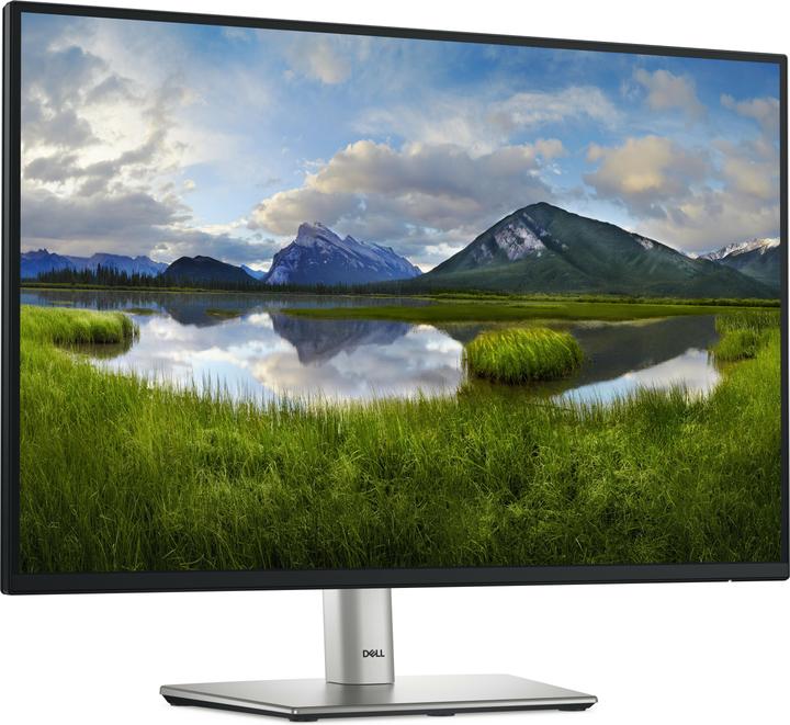 Dell P2425 (1920 x 1200 Pixel, 24.07")