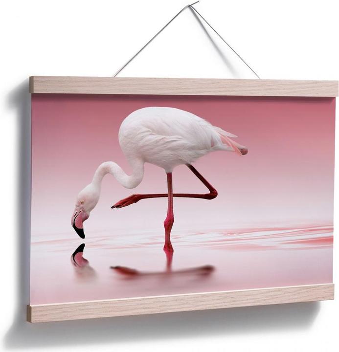 Image du produit Trenddeko Reindl - Flamant rose (120 x 80 cm)