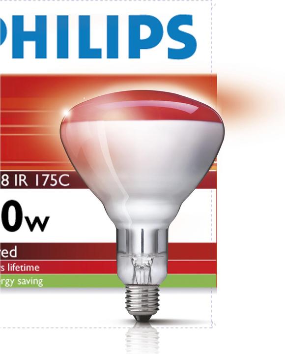 Philips Infrared lamp (150 W)