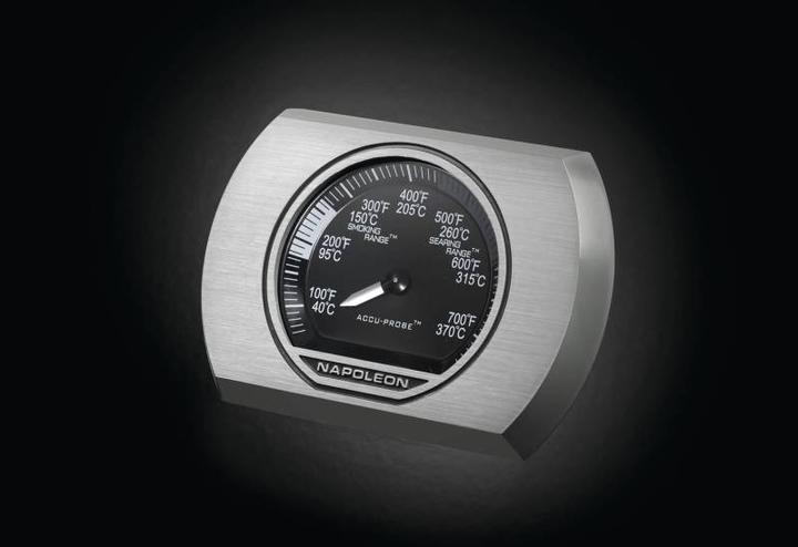Image du produit Napoleon Rogue 365 'Tout noir (9.50 kW)