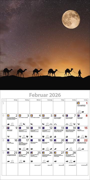 Produktbild Der groe Mondplaner 2026 (30 x 60 cm, Harter Einband, Französisch, Englisch)