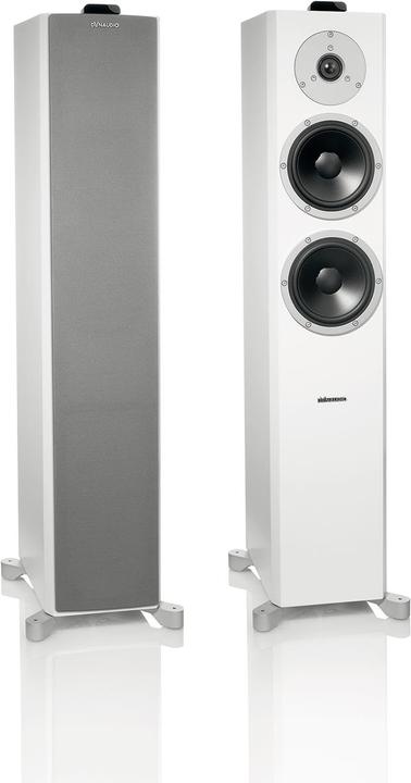 Actual product image Dynaudio Xeo 6 - 1 pair (100 W)