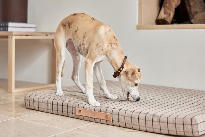 Image du produit Oyoy Milo (Chien)