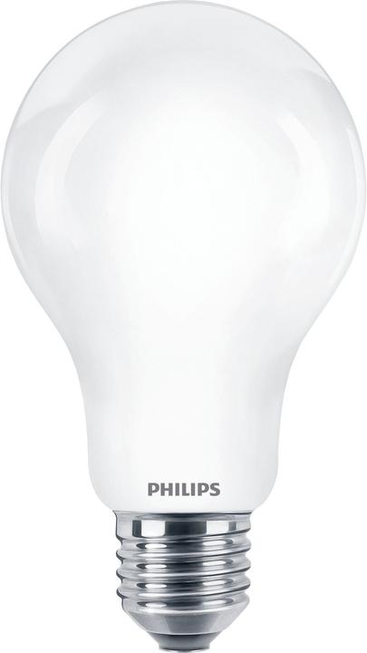 Philips Lampada (E27, 17.50 W, 2452 lm, 1 x, D)
