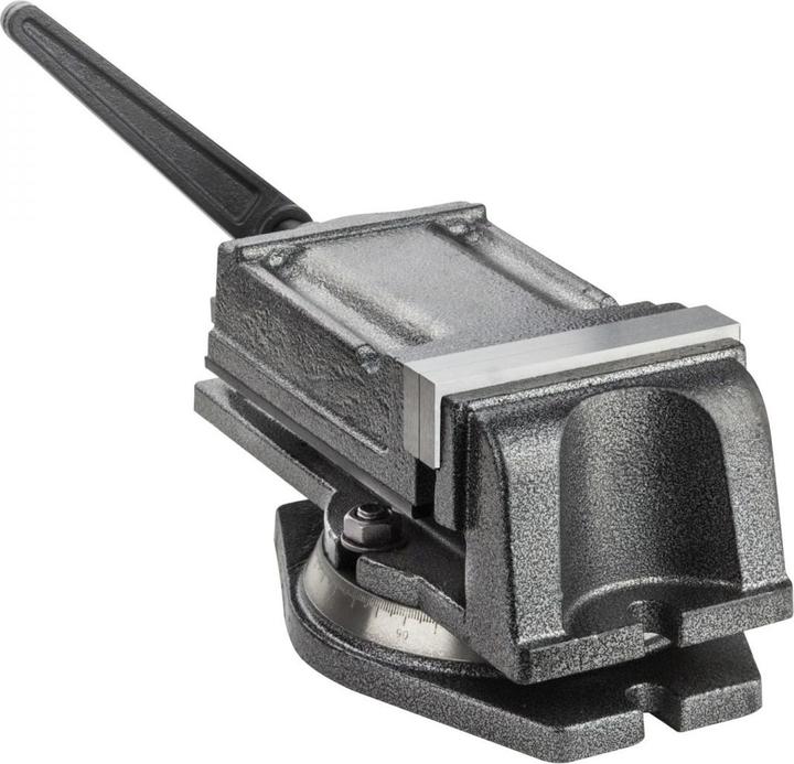 Produktbild Dema Präzisionsmaschinen Schraubstock Werkbankschraubstock 125mm mit Spindelantrieb (105 mm)