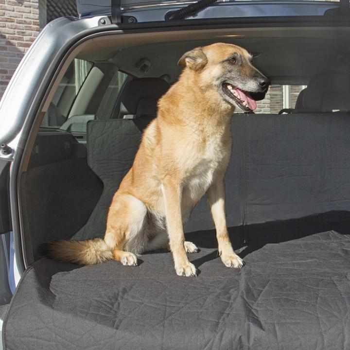 Actual product image EBI Trunk cover (Dog, Machine washable)