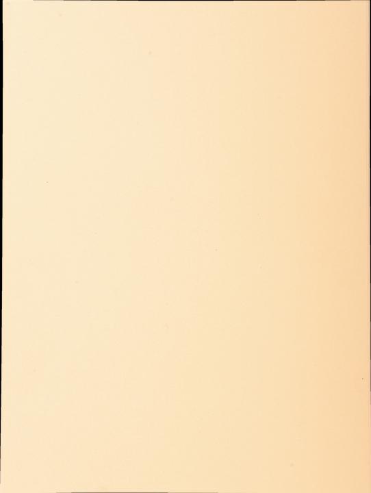 Exacompta File cover (A4, 100 x)