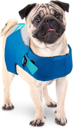 Image du produit All for Paws se détendre (S, Gilet de sauvetage pour chien)