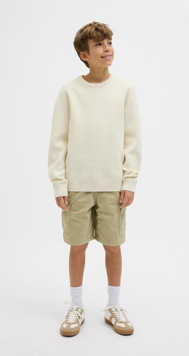 Actual product image Jack & Jones Loose Fit Loose Fit Shorts Junior Loose Fit Shorts (140)