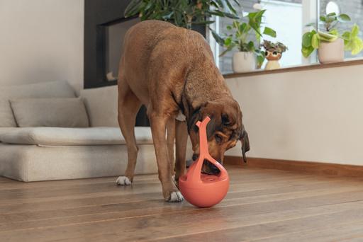 Actual product image Beeztees Rubber dog toy Wiggle-X (Dog chew toy)