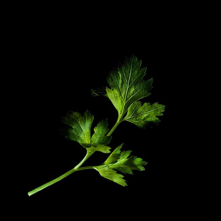 Immagine prodotto Plantui prezzemolo (Semi di erbe)