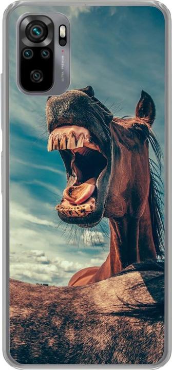 Funny horse