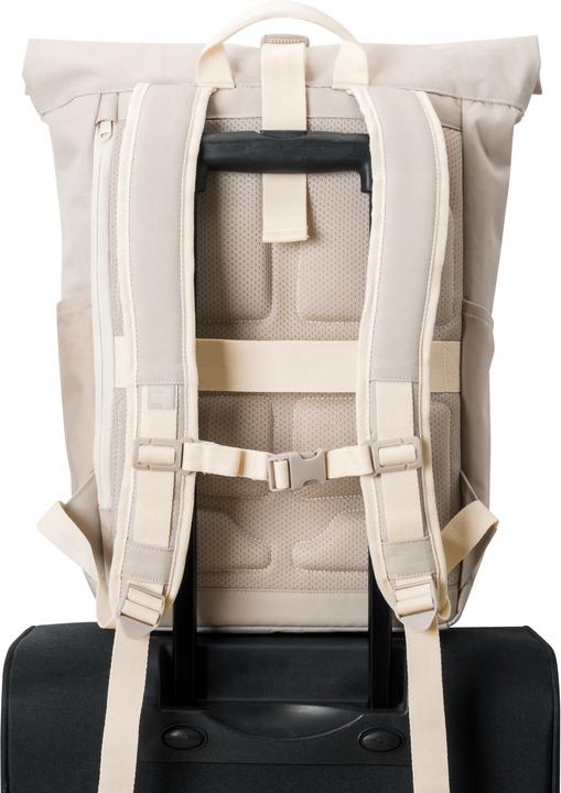 Actual product image Johnny Urban Allen (18.50 l)